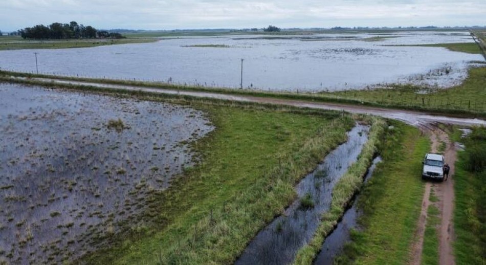 Estiman en 5 millones de hectáreas afectadas por las lluvias en la provincia de Buenos Aires