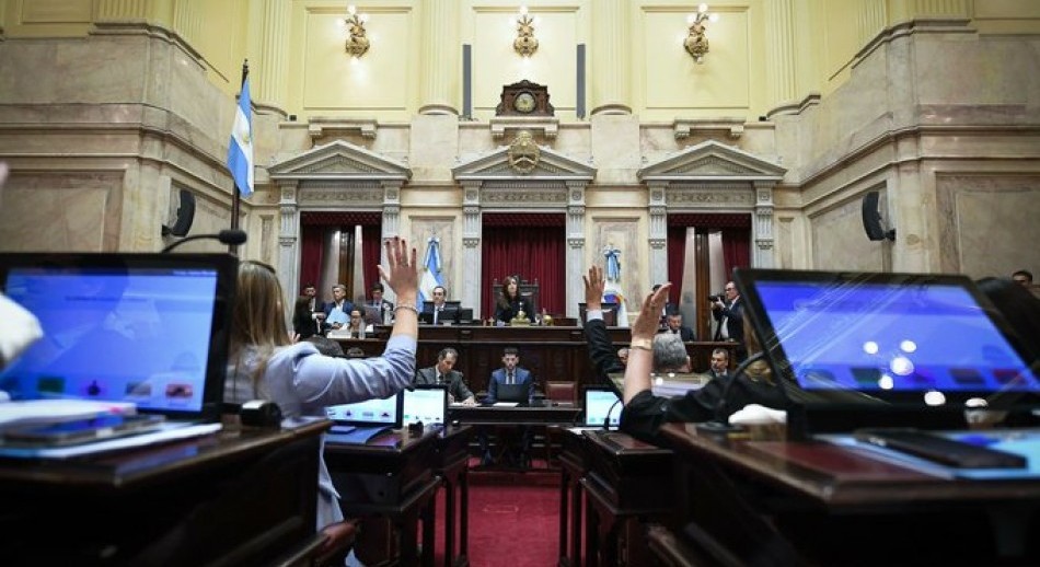 El Senado aprobó en general la reforma de la Ley de Salud Mental